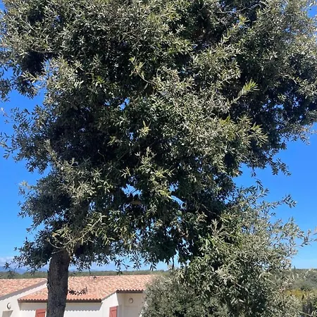 Mini K2 Bonifacio (Corsica)