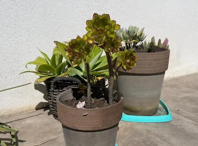 Mini K2 Villa