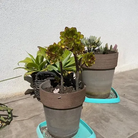 Mini K2 Villa