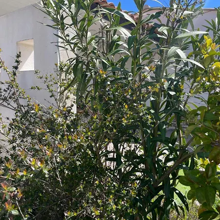 Mini K2 * Bonifacio (Corsica)